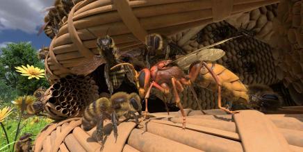 《蜜蜂VR》Honeybee VR