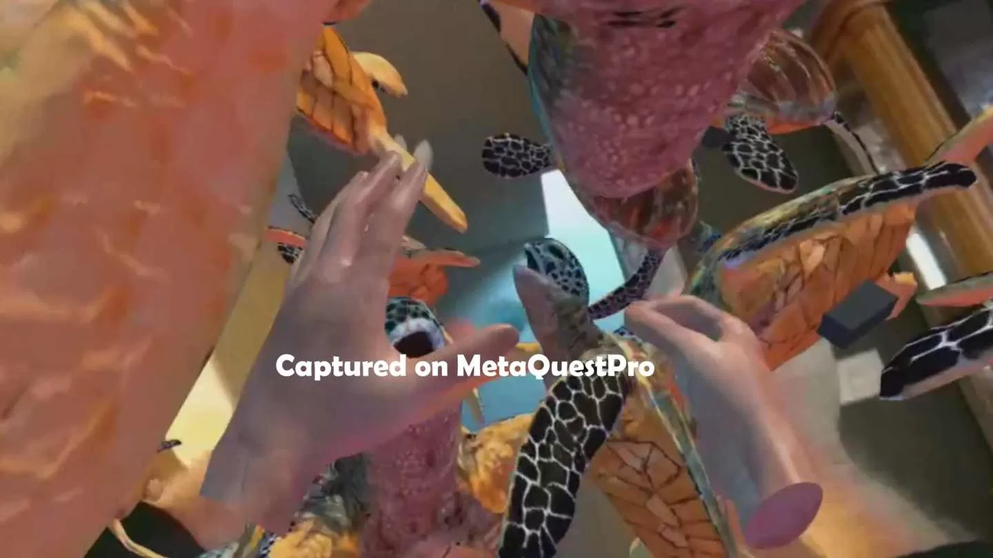 《动物园+海洋手部追踪ZOSU通行证》Zoo + Ocean Handtracking ZOSU Passthrough