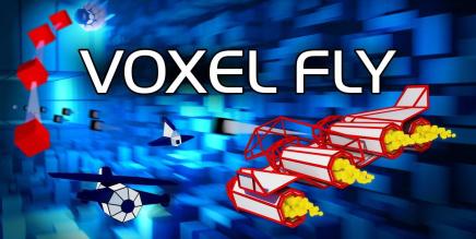 《体素飞行》Voxel Fly