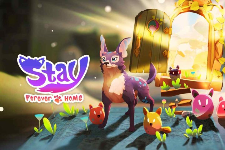 《永远待在家里》Stay: Forever Home