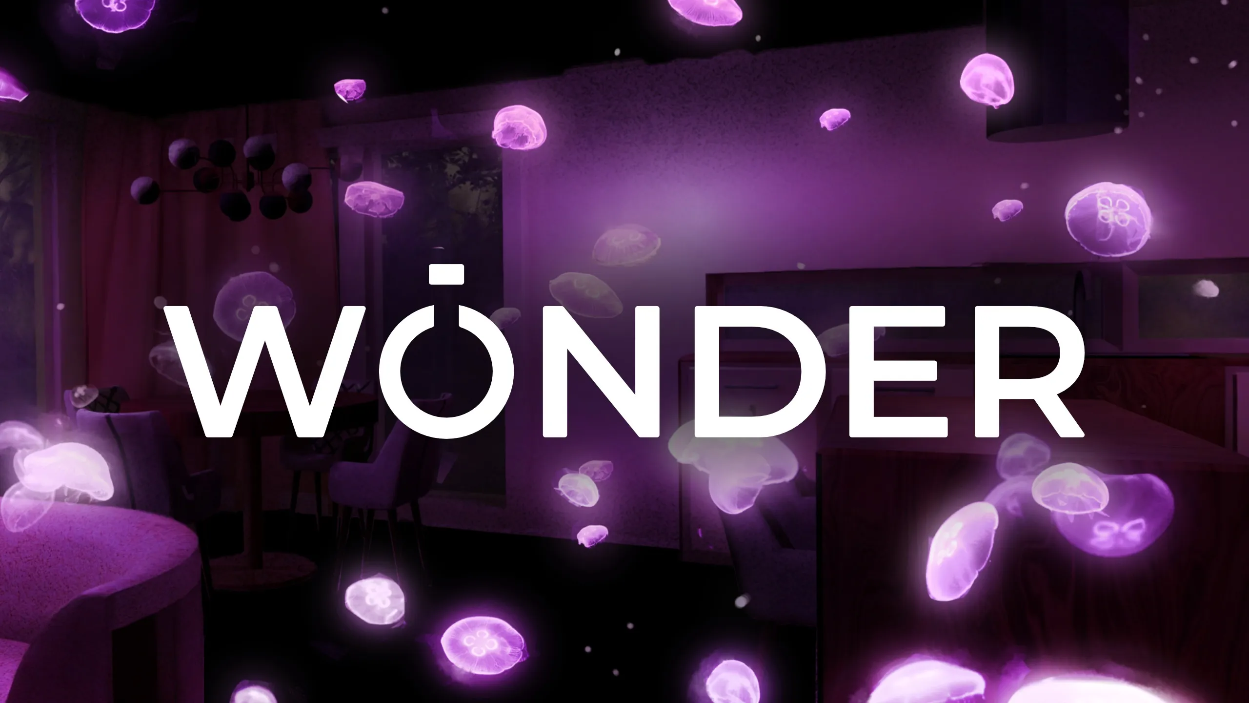 《探索》Wonder