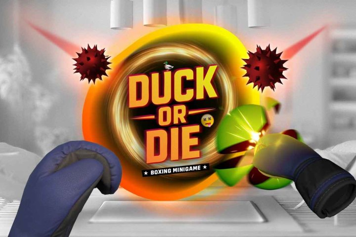 《鸭子或死》DuckOrDie – Boxing Minigame