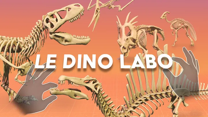 《恐龙实验室》Le Dino Labo