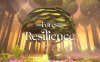 《韧性森林》Forest of Resilience