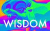 《智慧VR》Wisdom VR