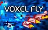 《体素飞行》Voxel Fly