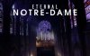 《永恒的圣母院》Eternal Notre-Dame