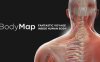 《解剖学和医学教育》BodyMap for Anatomy and Medical Education