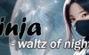 《忍者-夜之华尔兹》Ninja – Waltz of Night