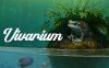 《维瓦利安》Vivarium