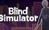《盲人模拟器》BlindSimulator