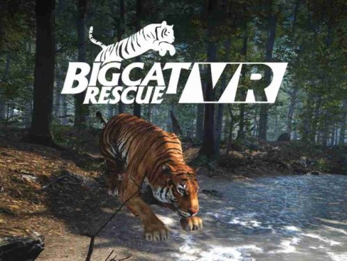 《大型猫科动物》Big Cat Rescue