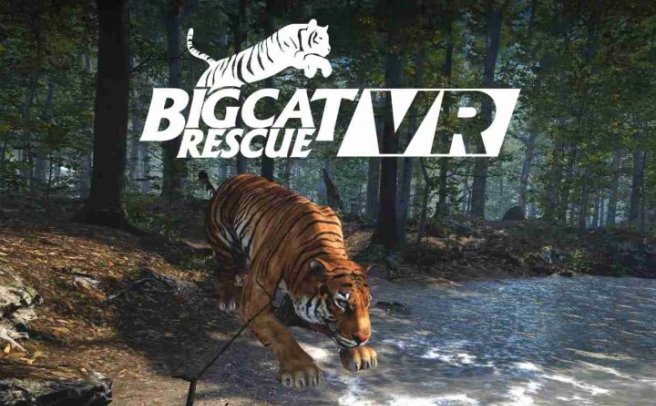 《大型猫科动物》Big Cat Rescue